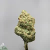 Close-up of a cannabis bud with frosty trichomes and green-orange color on a gray background (Kush Buddy watermark).