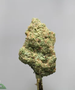 Close-up of a cannabis bud with frosty trichomes and green-orange color on a gray background (Kush Buddy watermark).