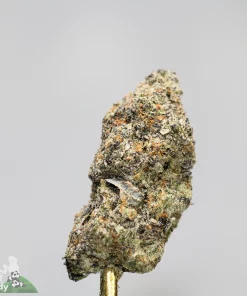 Black Series - Banana Punch (LSO) - Image 4