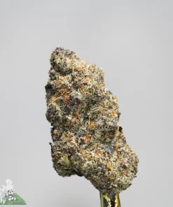 Black Series - Banana Punch (LSO) - Image 2