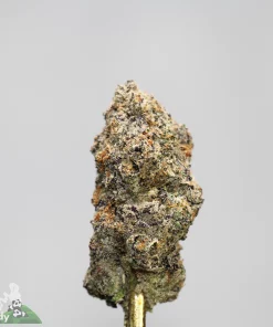 Black Series - Banana Punch (LSO) - Image 3