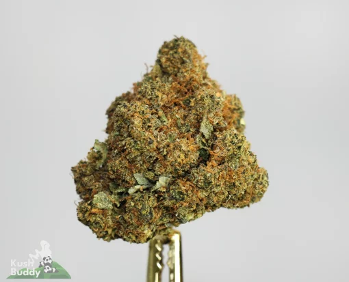 Black Series - Bulk - Banana Punch