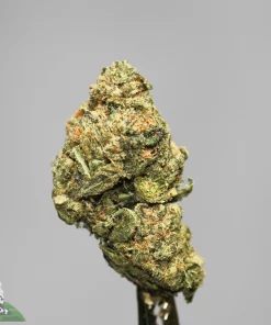 Black Series - Bulk - 3 in the Pink - Image 3