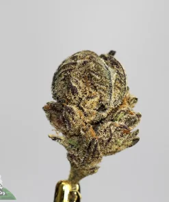 3 in the Pink indica hybrid sweet dessert aroma
