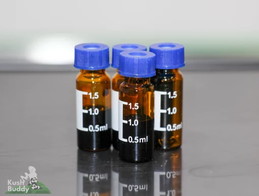 Elevated Wellness Cherry Oil 1g vial