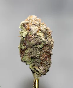 Black Series - Bulk - Pink Pablo - Image 2