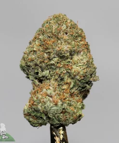 Black Series - Pink Pablo LSO