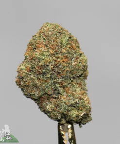 Black Series - Pink Pablo LSO - Image 2