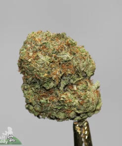 Black Series - Pink Pablo LSO - Image 3
