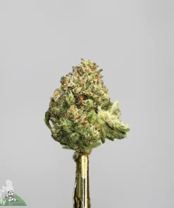 (AAAA - Bulk) Sundae Driver - Image 4