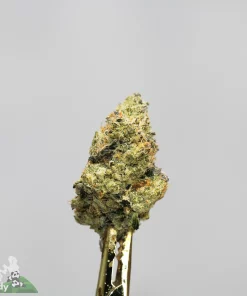 (AAAA - Bulk) Sundae Driver - Image 3