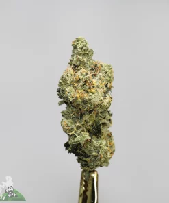 (AAAA - Bulk) Sundae Driver - Image 2