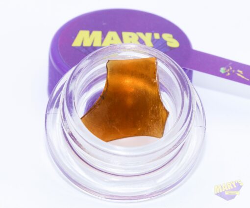 Mary’s Confectionary Universe - Supernova Shatter - Gingerbread Cookie