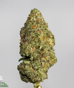 Black Series - Dave's Southern Burger #1
