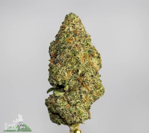 Black Series - Bulk - Dave's Southern Burger #1