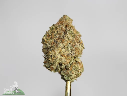 (AAAA) London Pound Cake