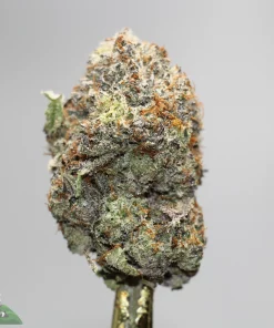 Close-up of a cannabis bud with frosty trichomes and orange pistils.