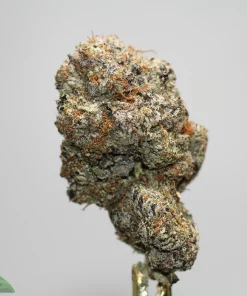 Close-up of a frosty cannabis bud with orange hairs, showing dense trichomes and green leaves; Kush Buddy logo at bottom left.