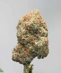 Close-up of a frosty cannabis bud with green and orange hairs against a gray background; Kush Buddy watermark bottom-left.