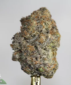 Black Series - Snoop's Gas Mask #4 (LSO)