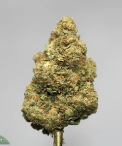 Close-up of a frosty cannabis bud with green and orange hairs against a neutral background, watermark shows bottom-left logo.