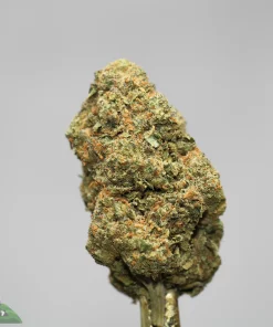 Macro close-up of a green cannabis nugget with orange hairs and frosty trichomes, gray background; Kush Buddy watermark in bottom-left corner.
