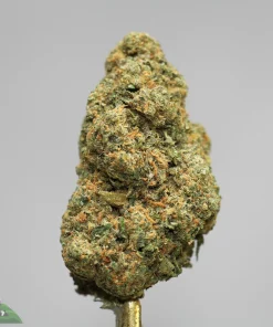 Close-up of a cannabis bud with dense green crystals and orange pistils on a gold stem against a gray background.