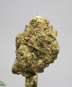 Close-up of a cannabis bud with frosty trichomes and orange hairs on a stem, shown against a plain background.