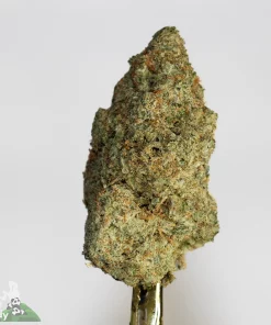 Weed delivery Markham
