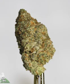 same day weed delivery