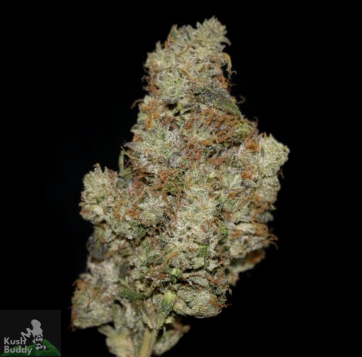 Buy Khalifa Mints Online Bulk Weed Strain Kush Buddy