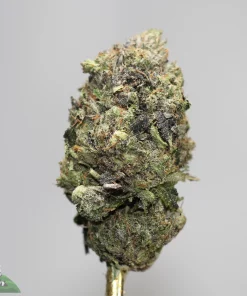 Black Series - Astroman's Purple Goo - LSO - Image 4