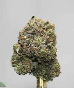 Black Series - Astroman's Purple Goo - LSO - Image 3
