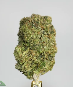 Black Series - Astroman's Purple Goo - LSO