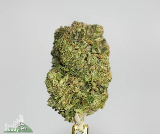 Black Series - Astroman's Purple Goo - LSO