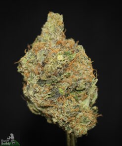 Black Series - White Goo