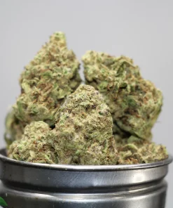 Close-up of cannabis buds in a metal grinder, with a Kush Buddy logo visible in the lower left corner.