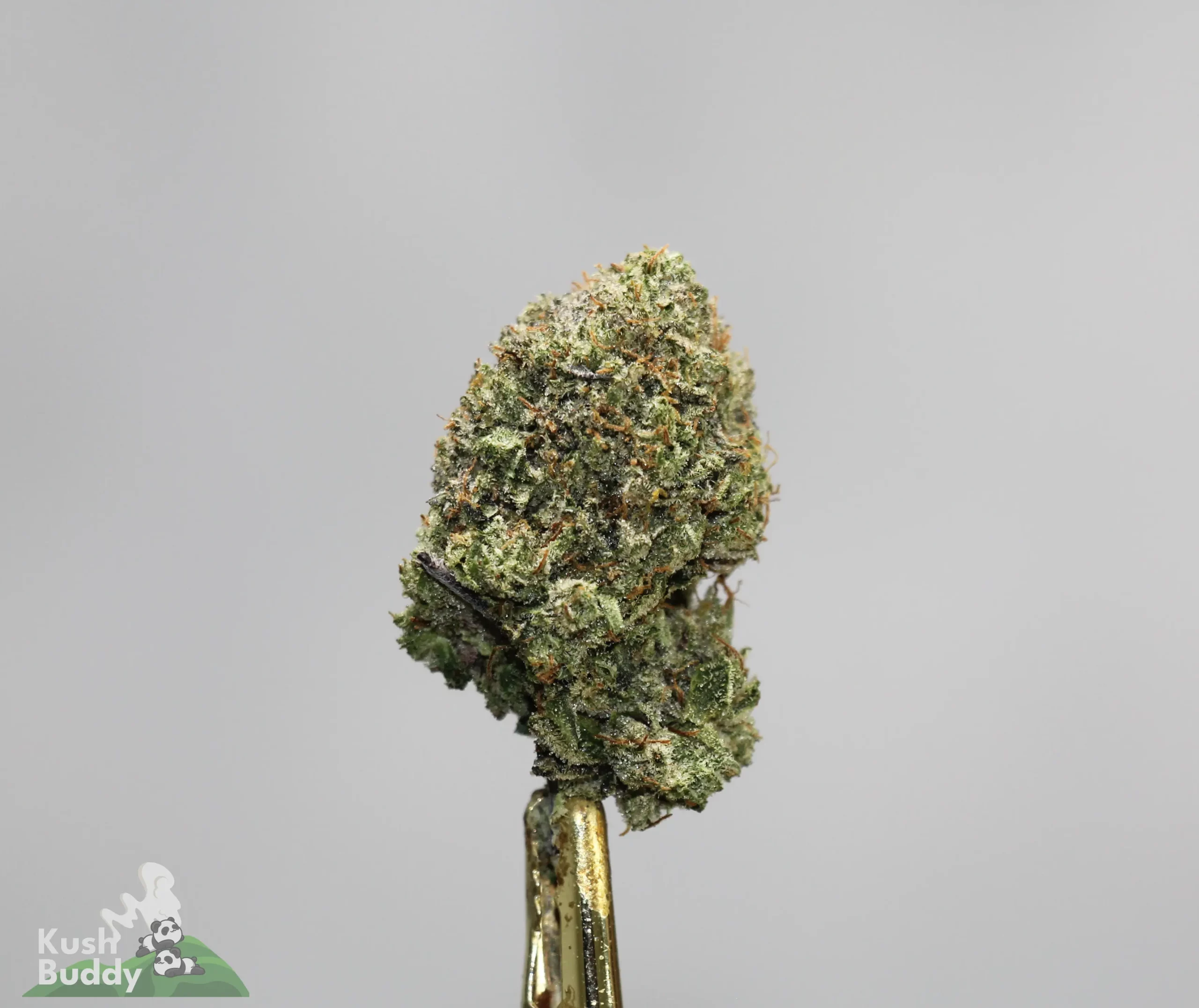 (Black Series - Bulk) Pink Pussy x Super Sticky (LSO) - Image 4