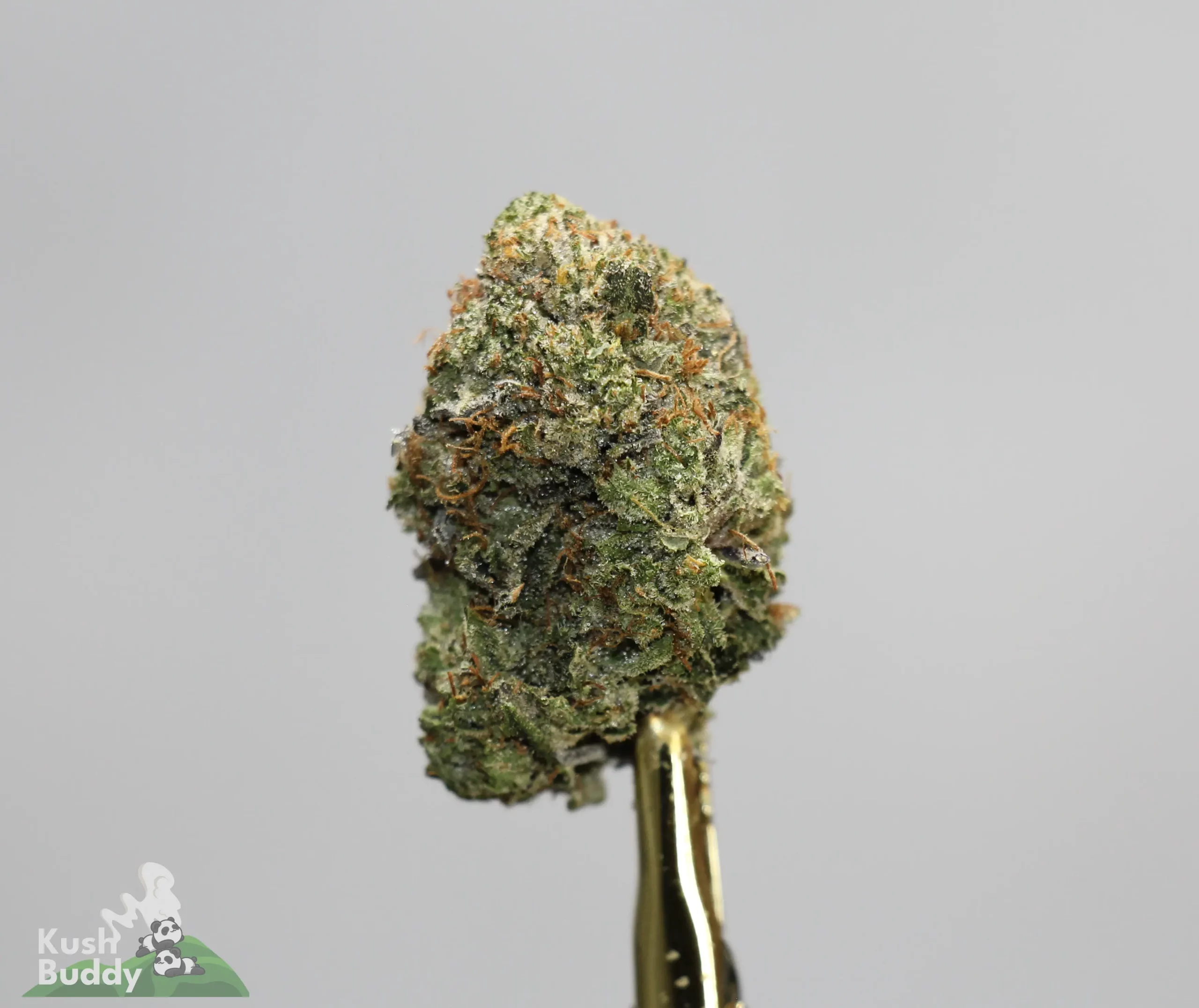 (Black Series - Bulk) Pink Pussy x Super Sticky (LSO) - Image 3