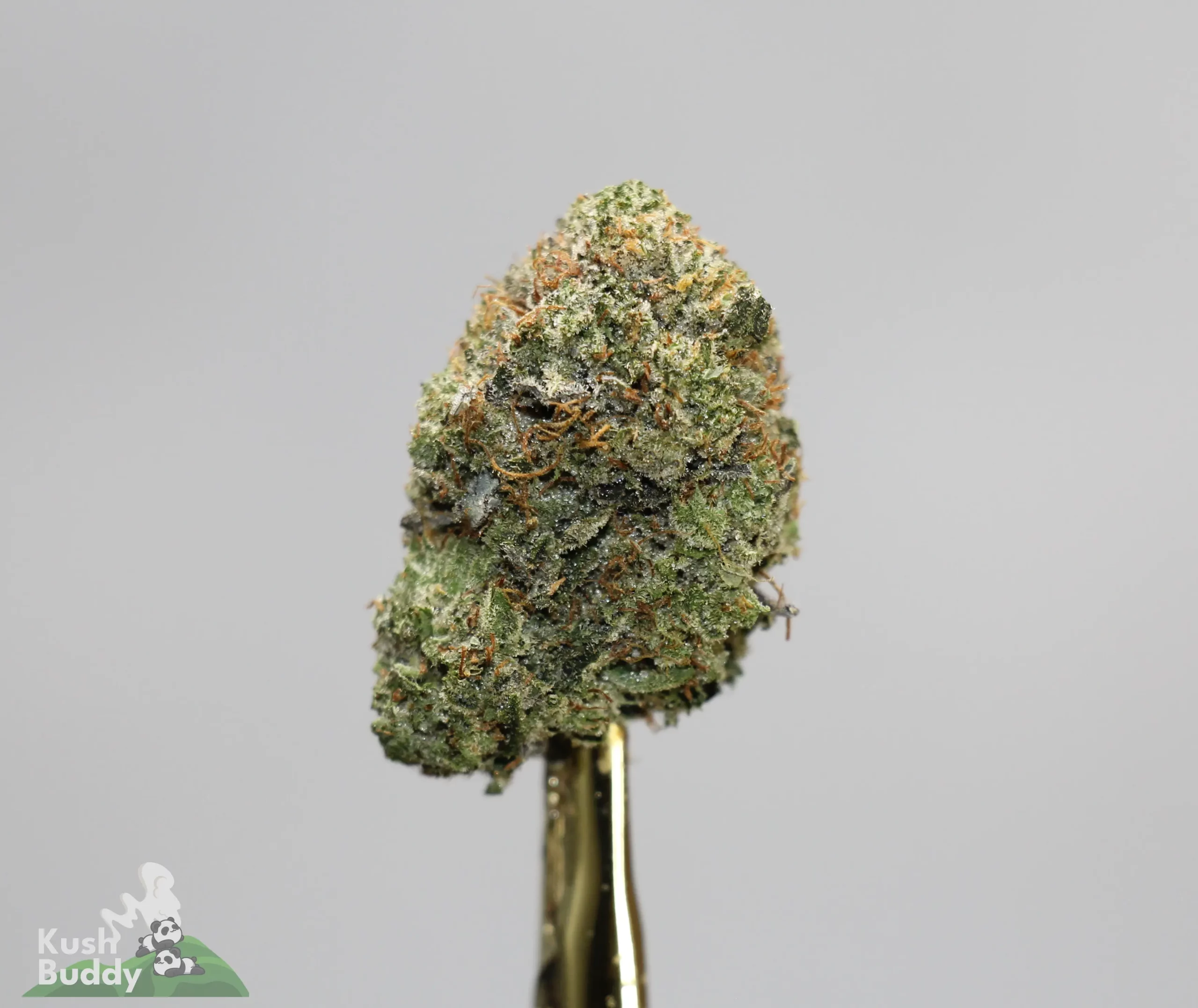 (Black Series - Bulk) Pink Pussy x Super Sticky (LSO) - Image 2