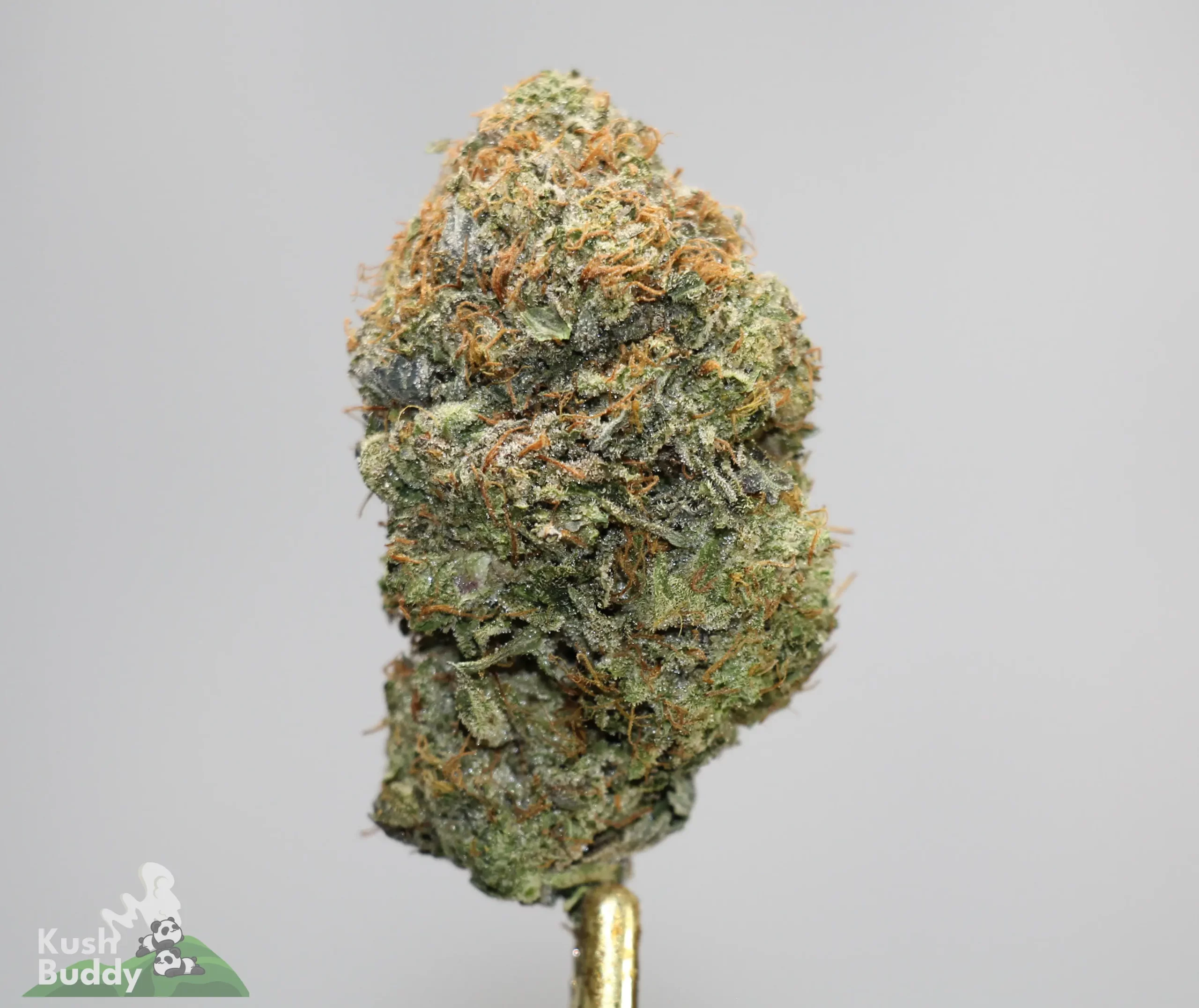 (Black Series - Bulk) Pink Pussy x Super Sticky (LSO)