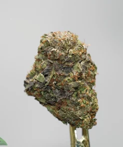 Close-up of a dense cannabis bud covered in frosty trichomes with orange pistils on a small stem.