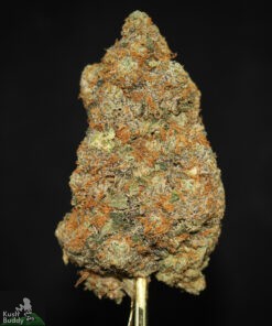 Black Series - Blueberry Muffin - Image 2