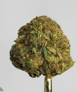 (AAA - Bulk) U.K. Cheese (Medium/Smalls) - Image 3