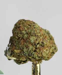 (AAA - Bulk) U.K. Cheese (Medium/Smalls) - Image 2