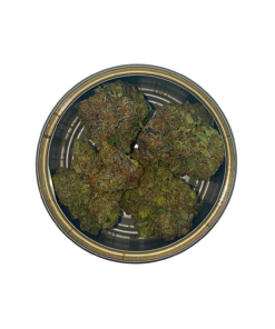 Super Quad - The Frost Factory - Premium Tuna Can (14g) - Image 3