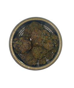 Super Quad - The Frost Factory - Premium Tuna Can (14g) - Image 4