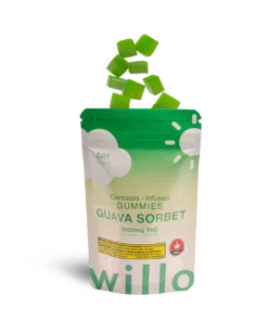 Willo Gummies - Guava Sorbet (1000mg Day/Focus/Energy)