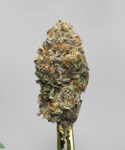 Macro shot of a frosty cannabis bud with orange pistils, standing upright against a pale background. The Kush Buddy logo is visible in the bottom-left corner.