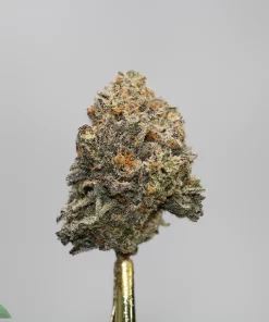 Close-up of a frosty cannabis bud on a dab tool with a Kush Buddy logo in the lower left corner.